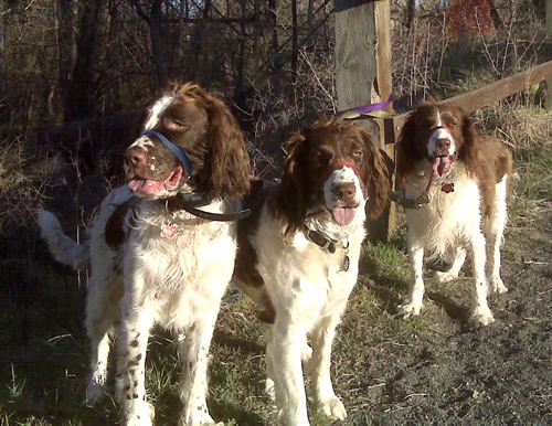 Billy, Annie, Eddy