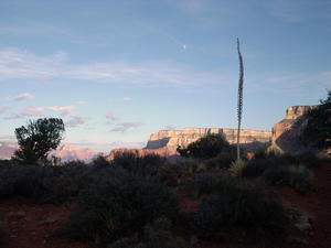 GC and moon