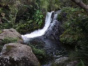 Kauai