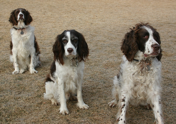 Marley, Eddy, Billy