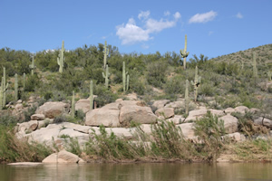 Salt River photo